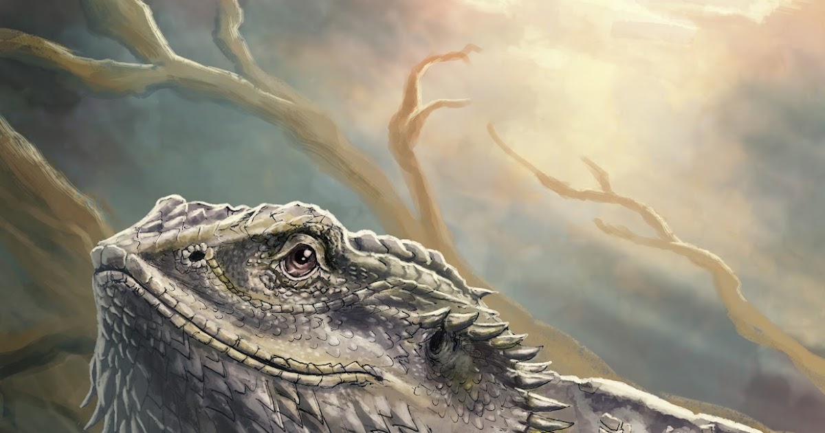 bearded-dragon-holding.jpg
