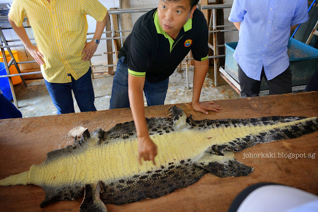Long Kuan Hung Crocodile Farm 农光行鳄鱼场 Singapore Long-Kuan-Hung-Crocodile-Farm-农光行鳄鱼场-Singapore