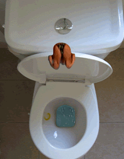 Imagenes para celular