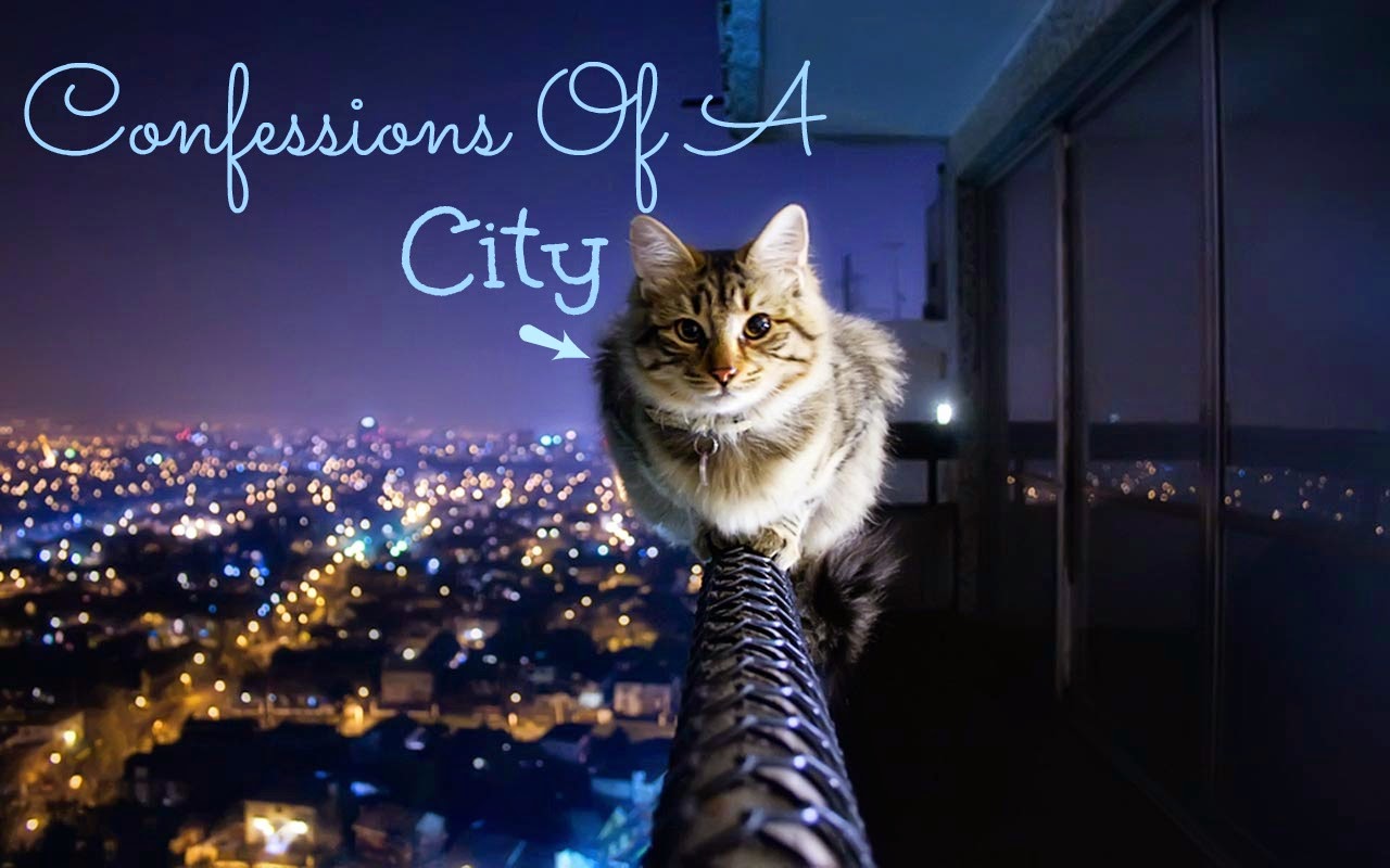 Design Tester: Confessions Of A City Cat