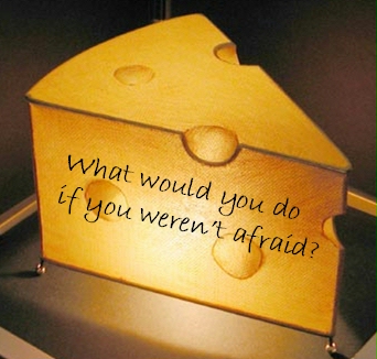 WHO MOVED MY CHEESE who moved my cheese: