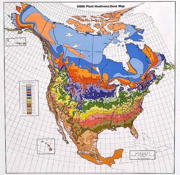 Temperate Climate Permaculture Hardiness Zones Heat Zones And