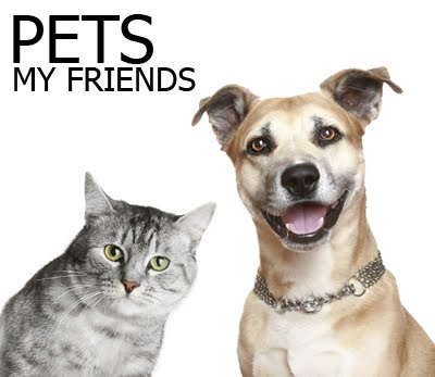 Pets My Friends