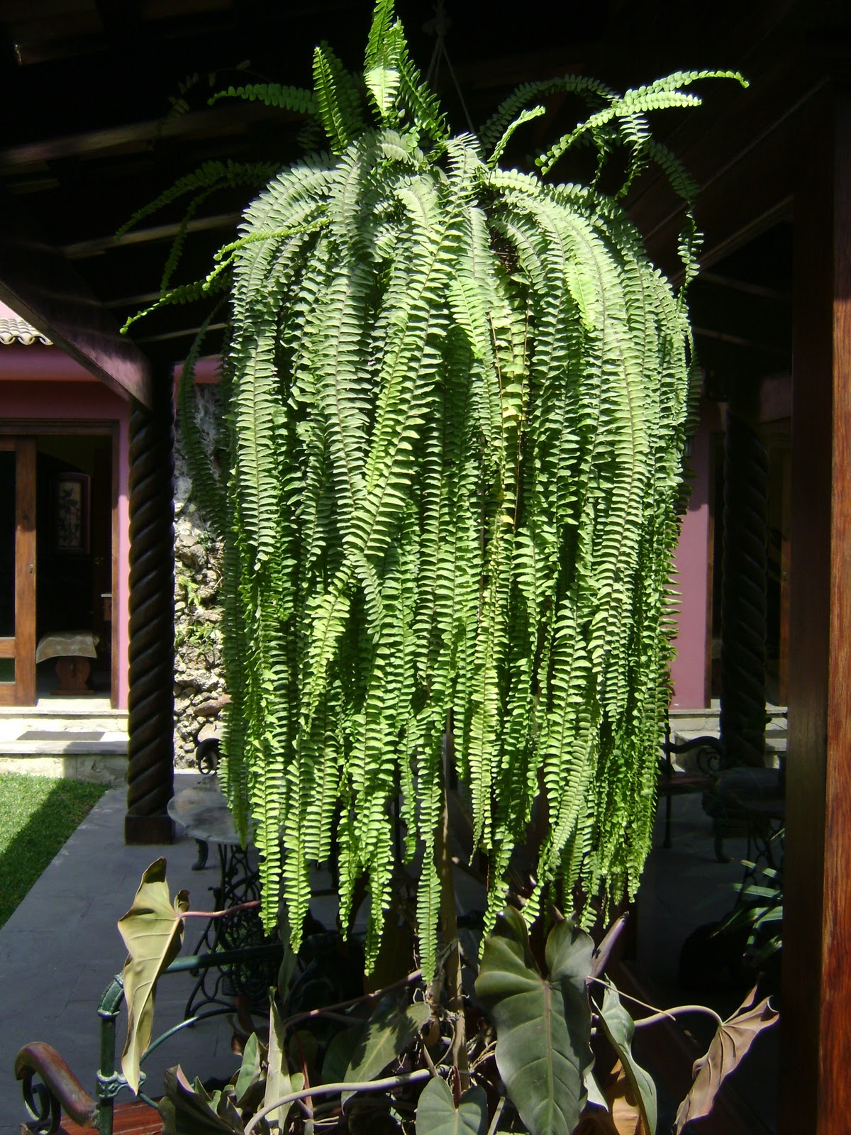 Jardines y Macetas: 2011-10-23