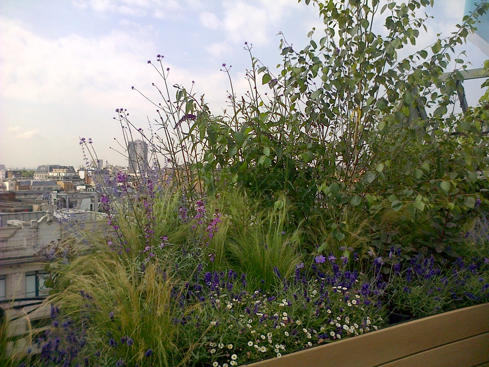 W1Mum John Lewis Roof Garden Oxford Street London