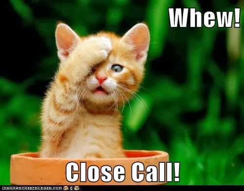 whew-close-call-lolcat.jpg