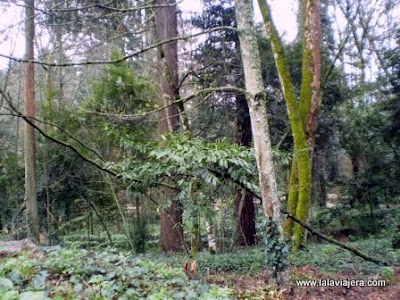 Frondoso parque del Monte San Esteban Monte San Esteban, Lamego