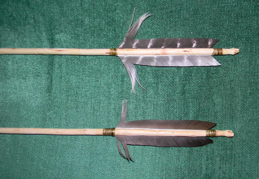 Cardio Trek Toronto Personal Trainer Arrow Fletching Kinds and Shapes