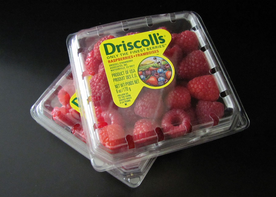 Smells Like Food in Here Driscolls Raspberries