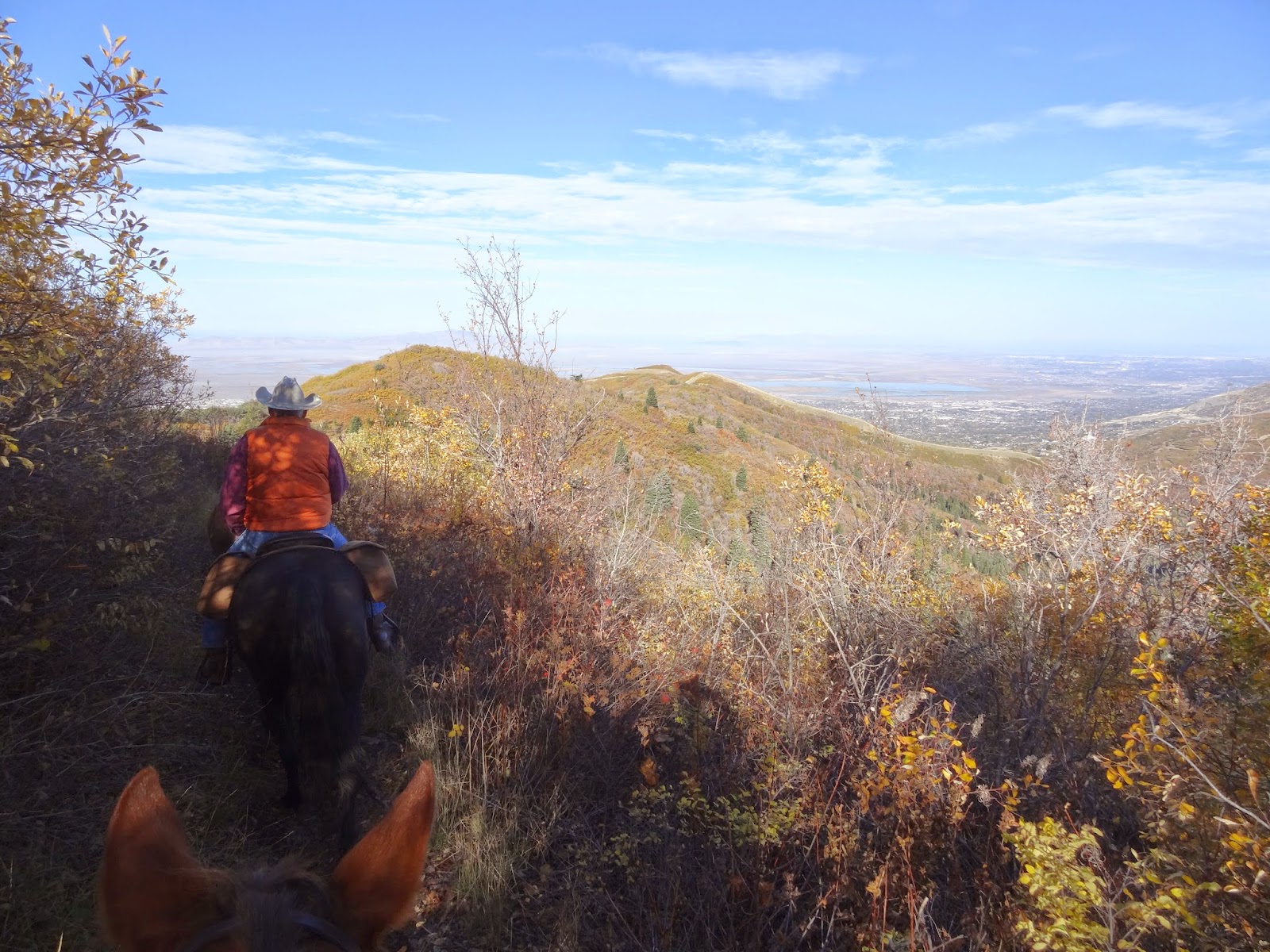 Dream Packer Trail Adventures Mueller Park, Bountiful, Utah