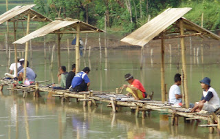 umpanmancing: UMPAN MANCING IKAN MAS DI AIR KERUH