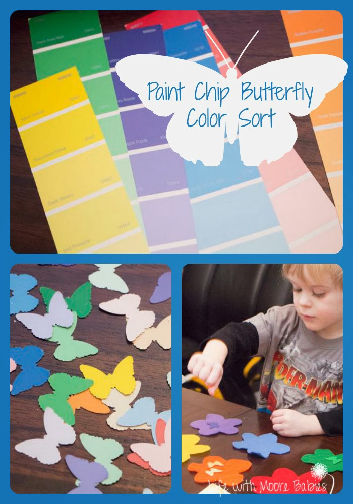 Paint Chip Butterfly Color Match Life with Moore Babies