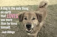 DOG LOVES