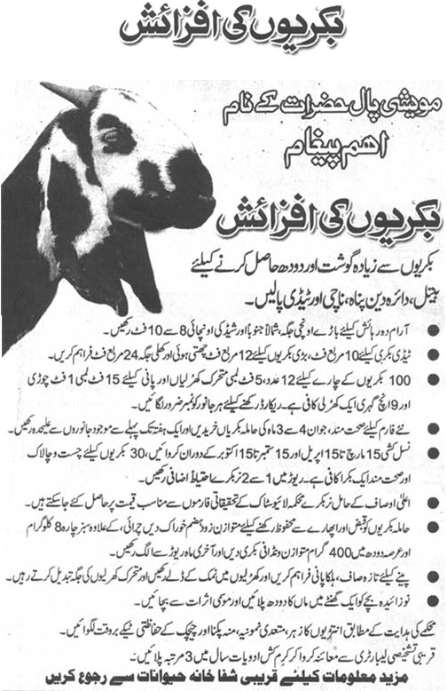 Essay in cricket world cup 2015 picture 3