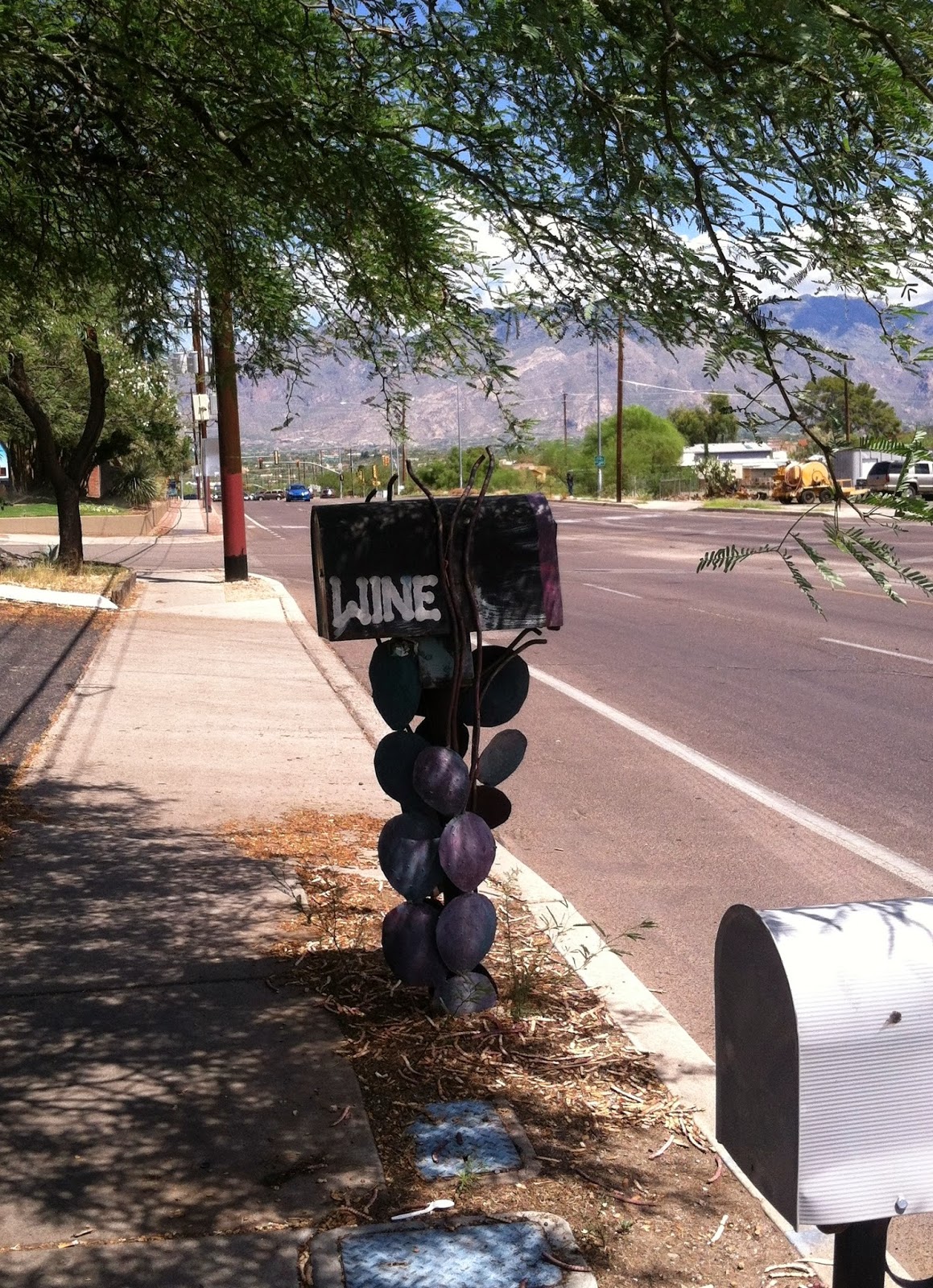 Tucson Daily Photo Wine tasting