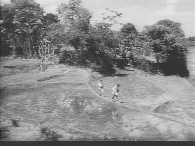 Film Walrus Reviews Film Atlas (Indonesia) Tiger from Tjampa