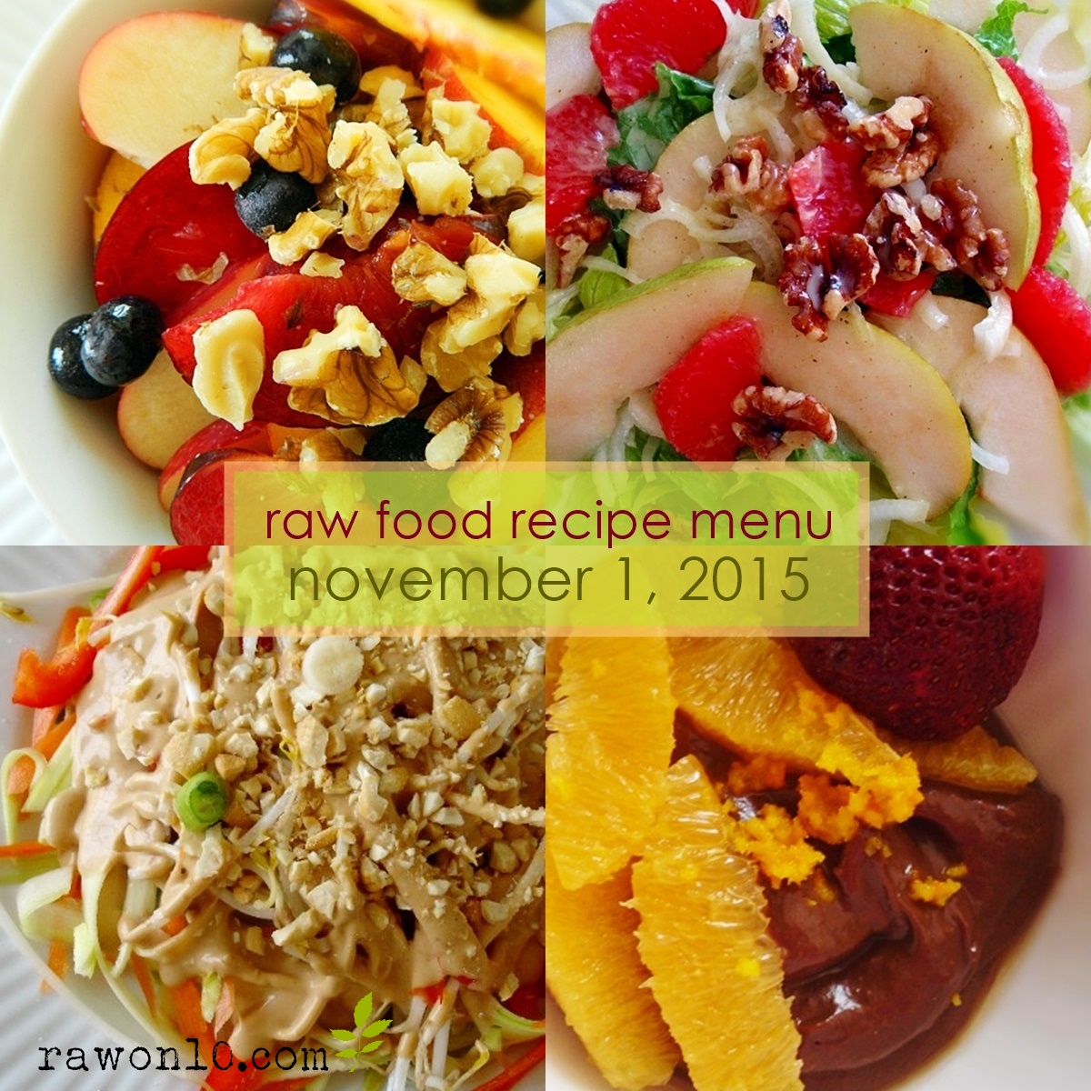 Raw on 10 a Day (or Less!) Raw Food Recipe Menu November 1, 2015