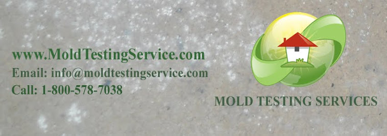 mold testing