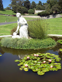 fl+water+lillies+pond2.jpg