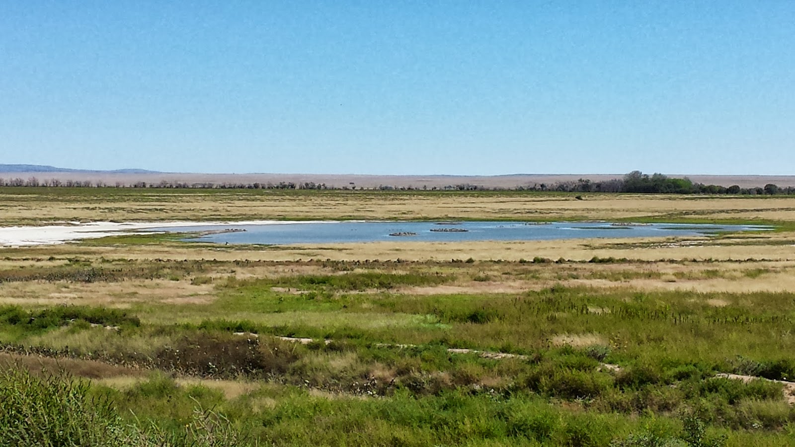 Technically Homeless Maxwell National Wildlife Refuge Maxwell, NM