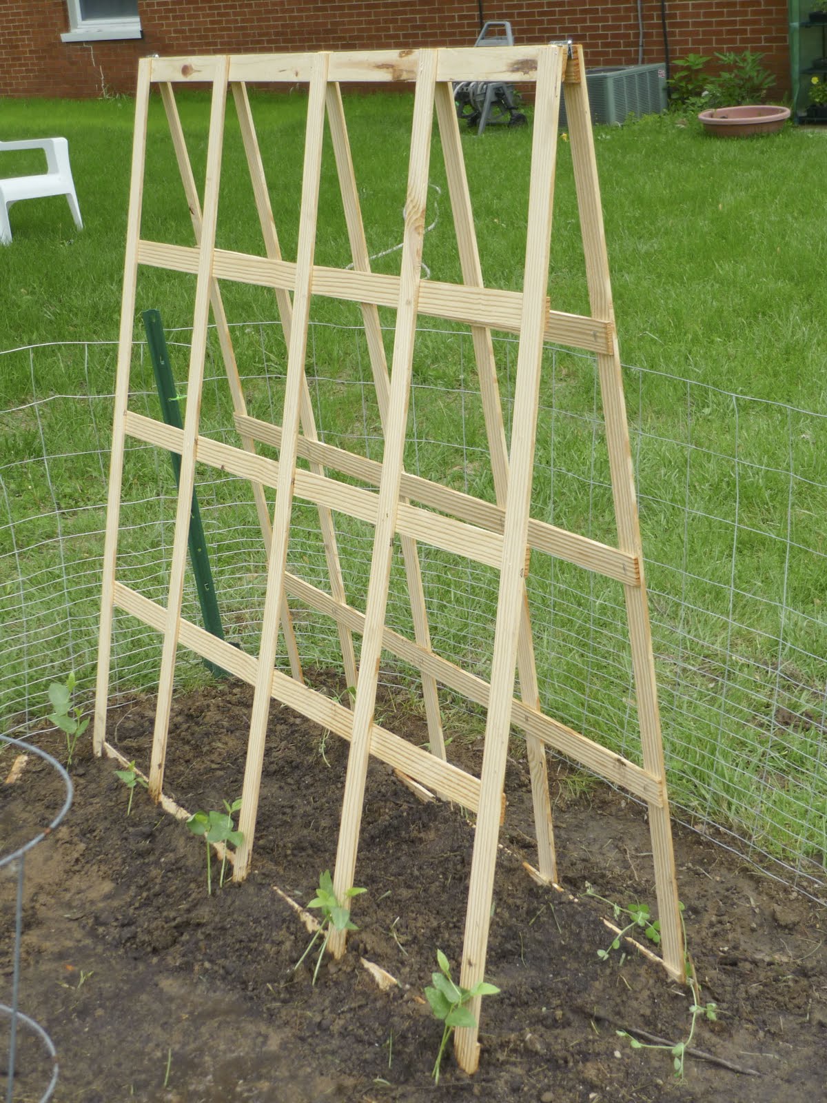 Harvesting Hart DIY Folding Trellis