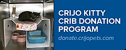 Donate a Kitty Crib