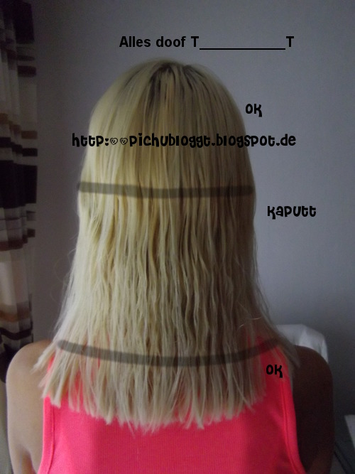 Pichu Bloggt: Pichus Haar ist ab Pichu Bloggt: Pichus Haar ist ab
