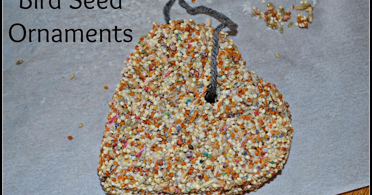 Winter Craft for Toddlers Bird Seed Ornaments Building Our Story