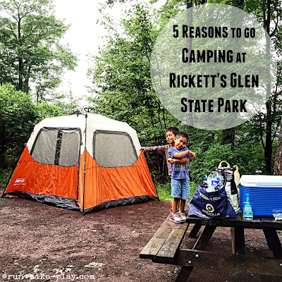5 Reasons To Go Camping at Ricketts Glen State Park