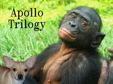 Apollo The Epic Trilogy