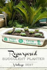 DIY Repurposed Succulent Planter on Diane's Vintage Zest!  #craft #repurpose #garden #diy #vinyl