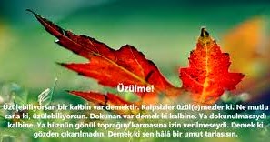 La Tahzen Innallahe Meana Uzulme La Tahzenu