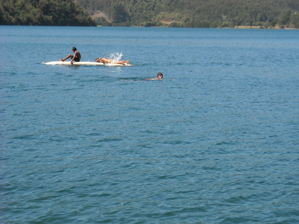 Cabaña las palmeras