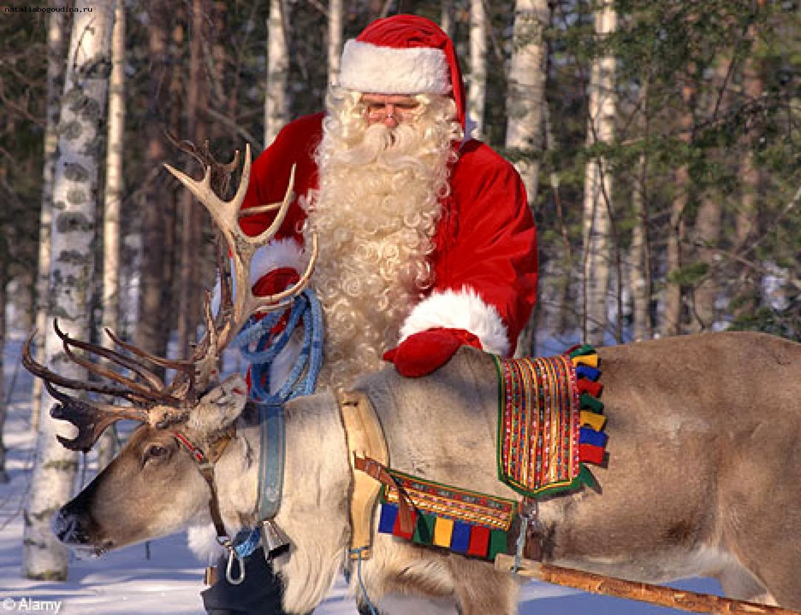 santa reindeer santa reindeer sleigh santa reindeer santa reindeer santa reindeer sleigh santa reindeer