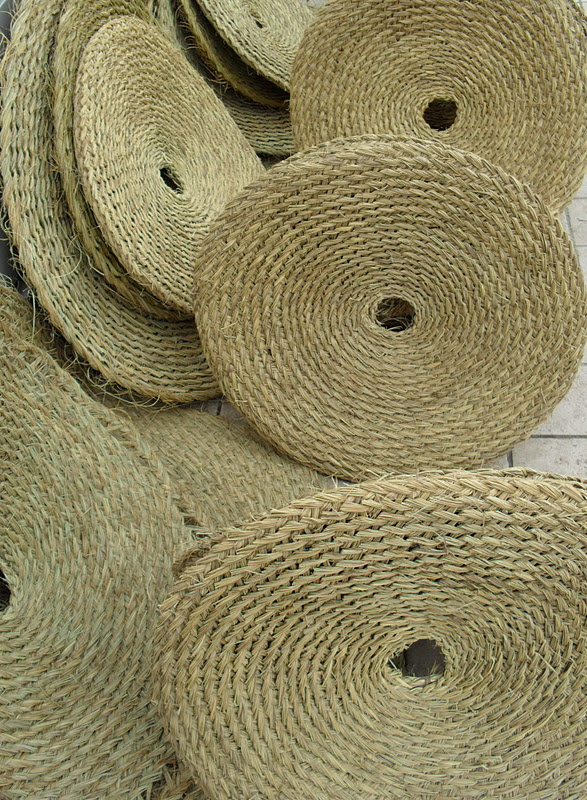 brightly coloured sunflowers Esparto grass