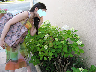 2007 <wbr>Day <wbr>1 <wbr>Day2 <wbr>再見巴黎