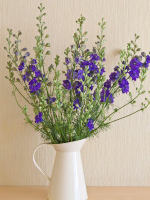 A Small Garden: Flowers in the House