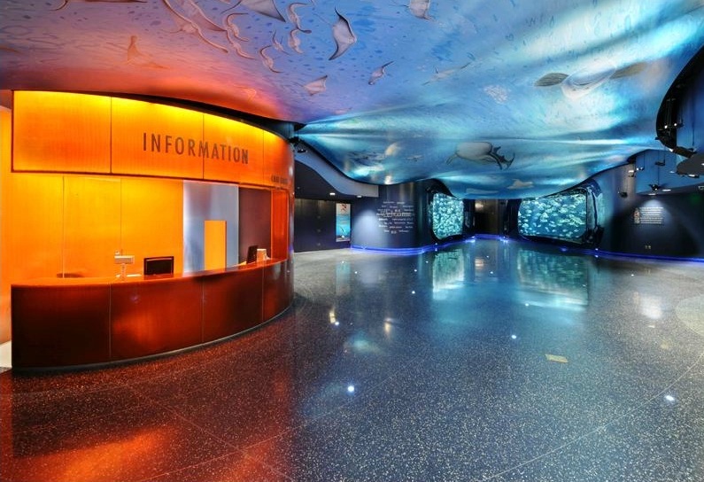 Splendour eye Aquarium The Largest Aquarium in the World