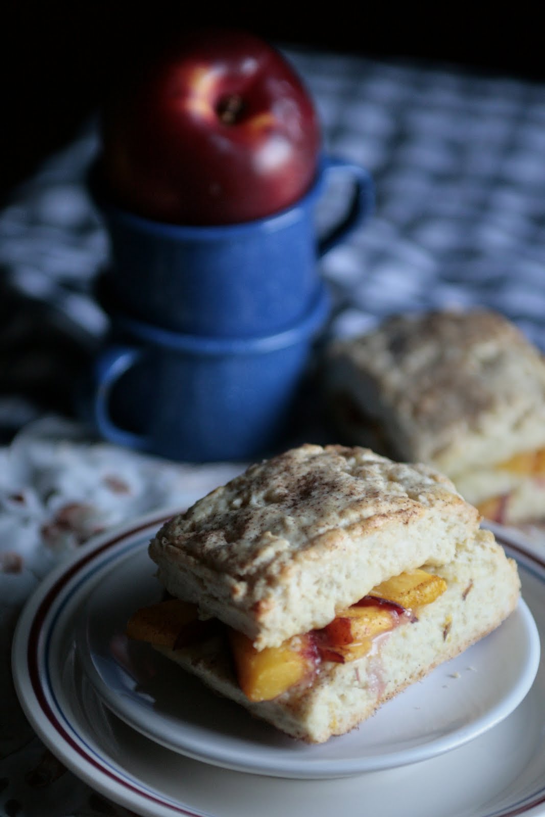 Indigo Scones Nectarine Scones
