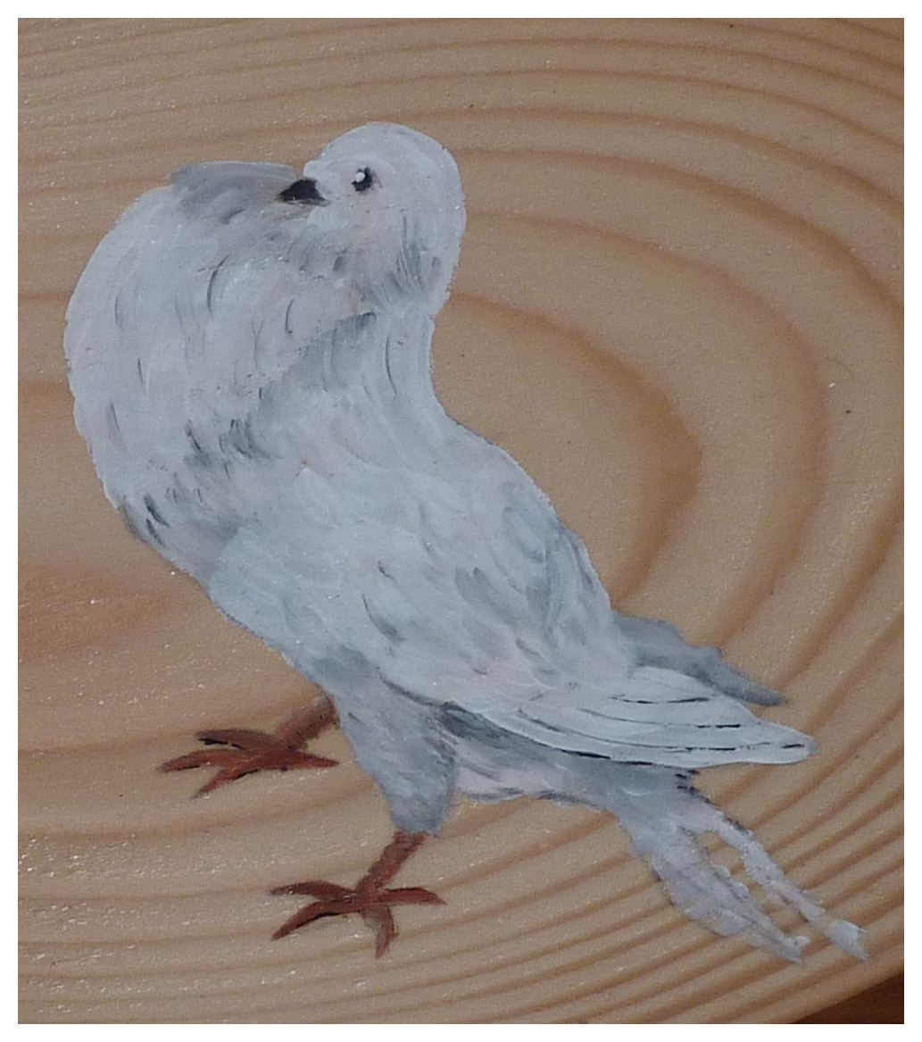 Fleurs et Rayures PIGEON BOULANT