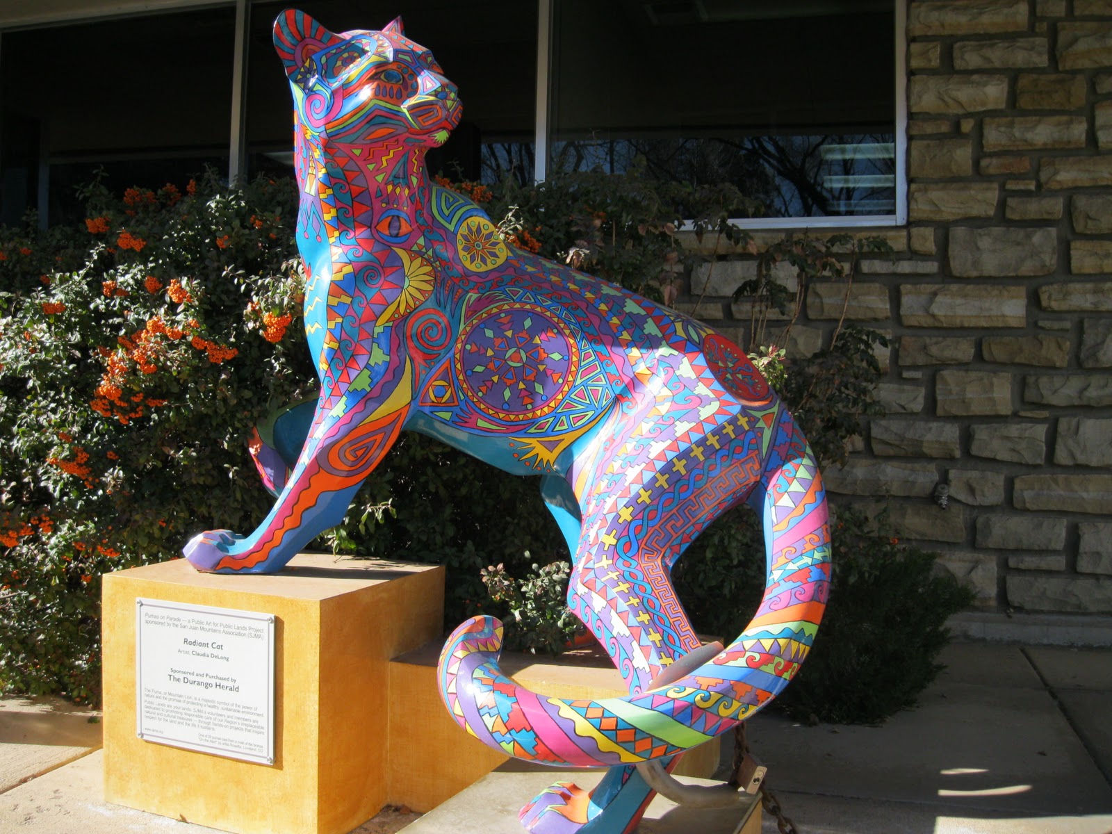 Colorful Pumas