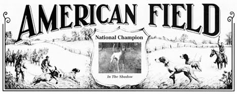 Check American Field For Latest Field Trial News