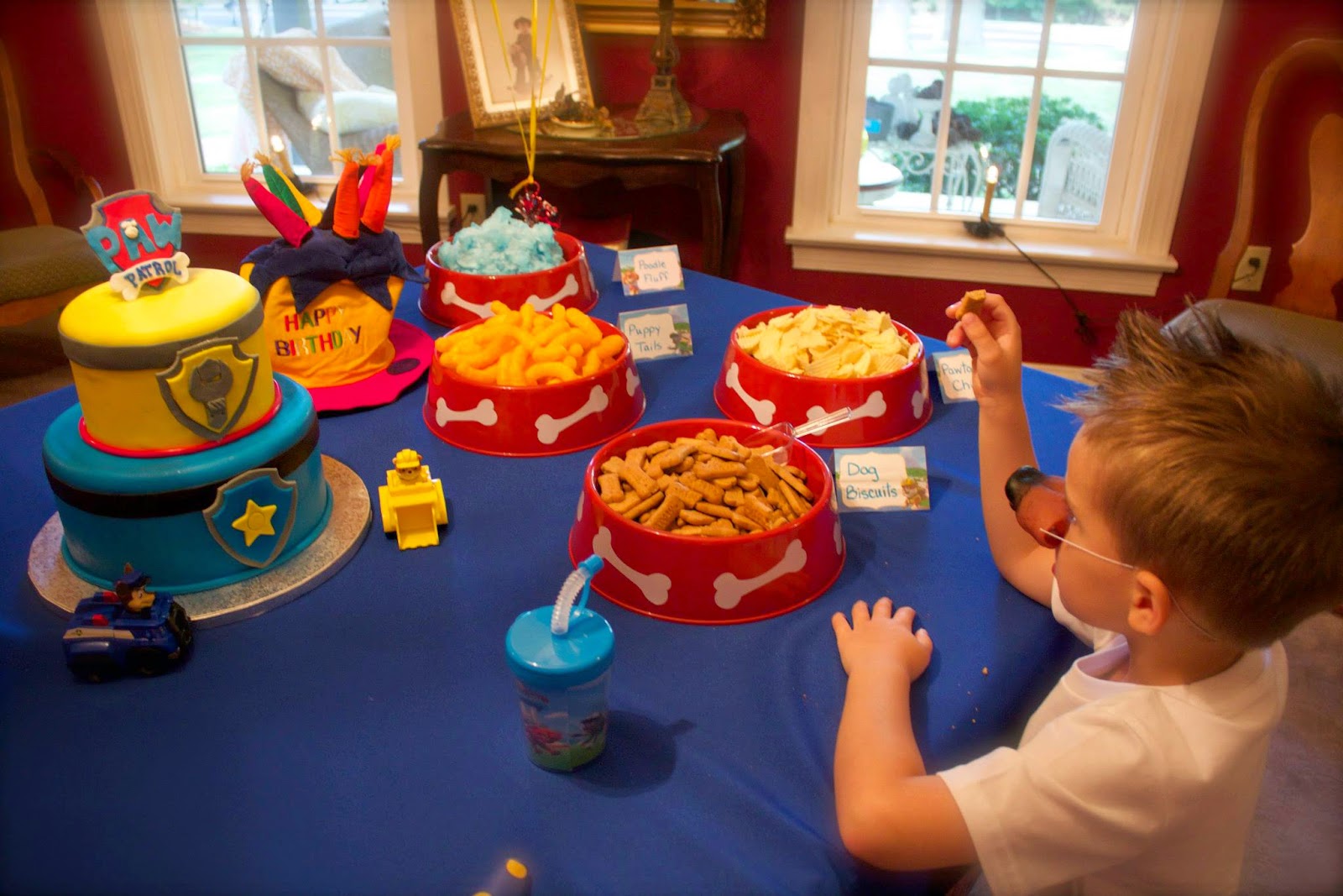 Paw Patrol Party Decorations Canada Paw Patrol Party Decorations Canada