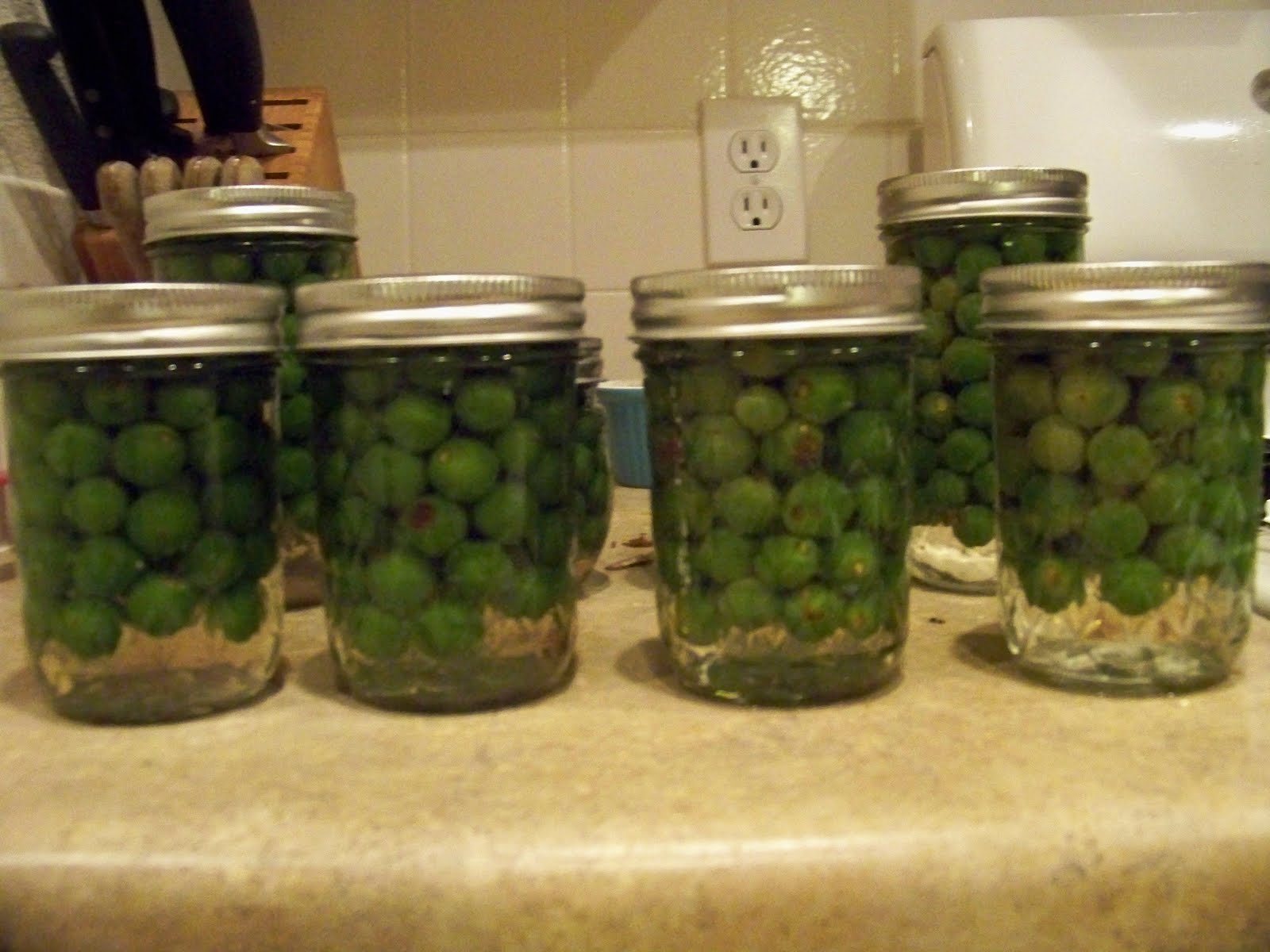 Recession Proof Kitchen Poor Man's Olives Mustang Grapes