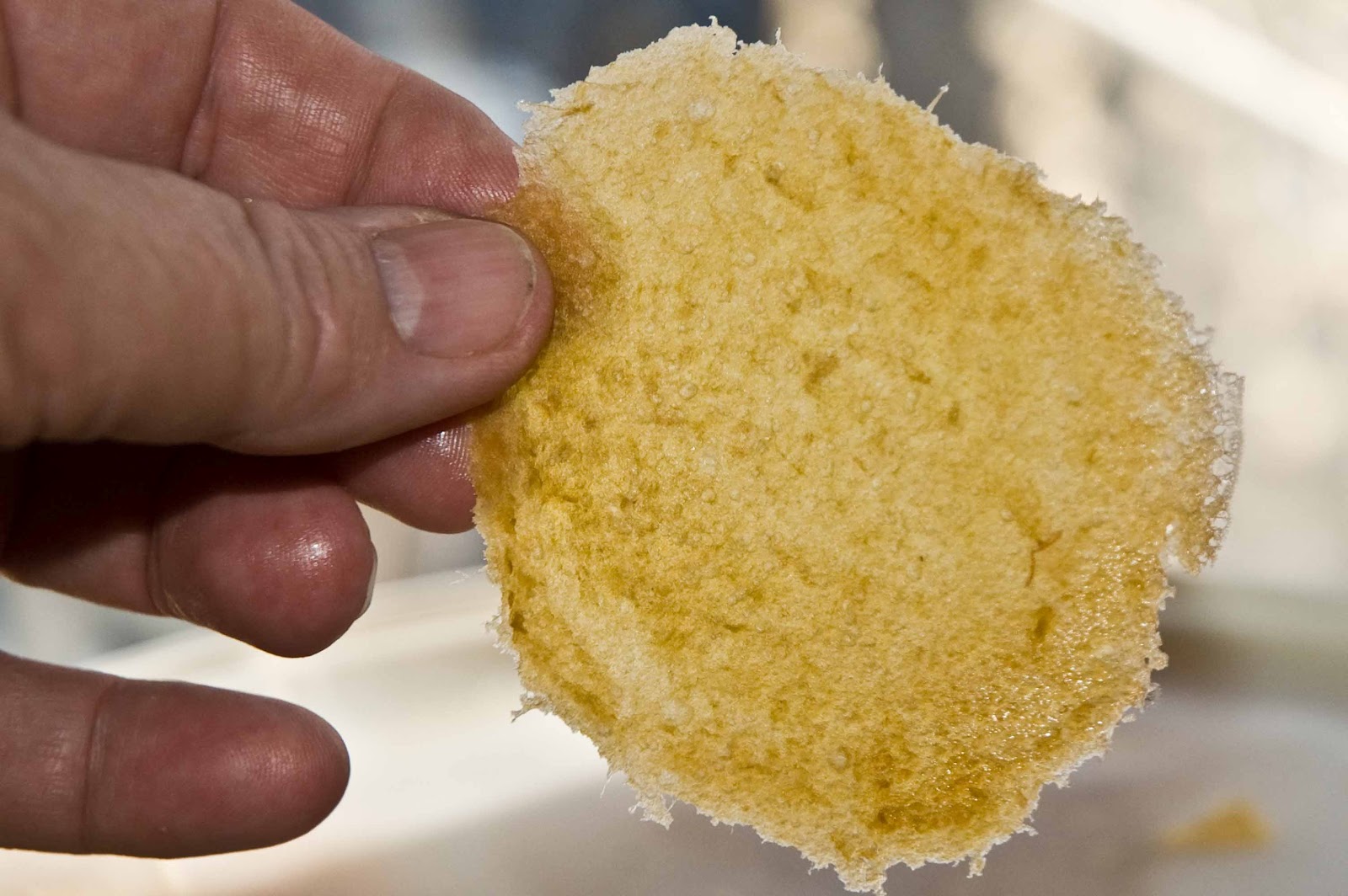 Dehydrating Way Beyond Jerky Dehydrating Applesauce Easier Than You Would Think