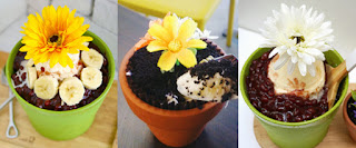 It’s Gardening Time! Yuk Bikin Ice Cream Pot yang Unik! 