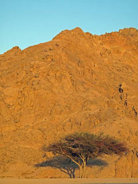 Sinai Desert Sunset