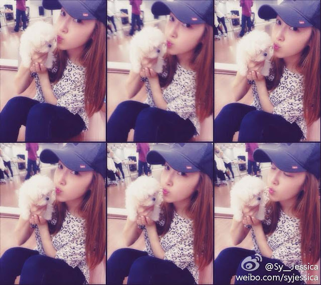 (CAP) Jessica en Weibo con Prince 130706+jessica+weibo+picture+with+prince