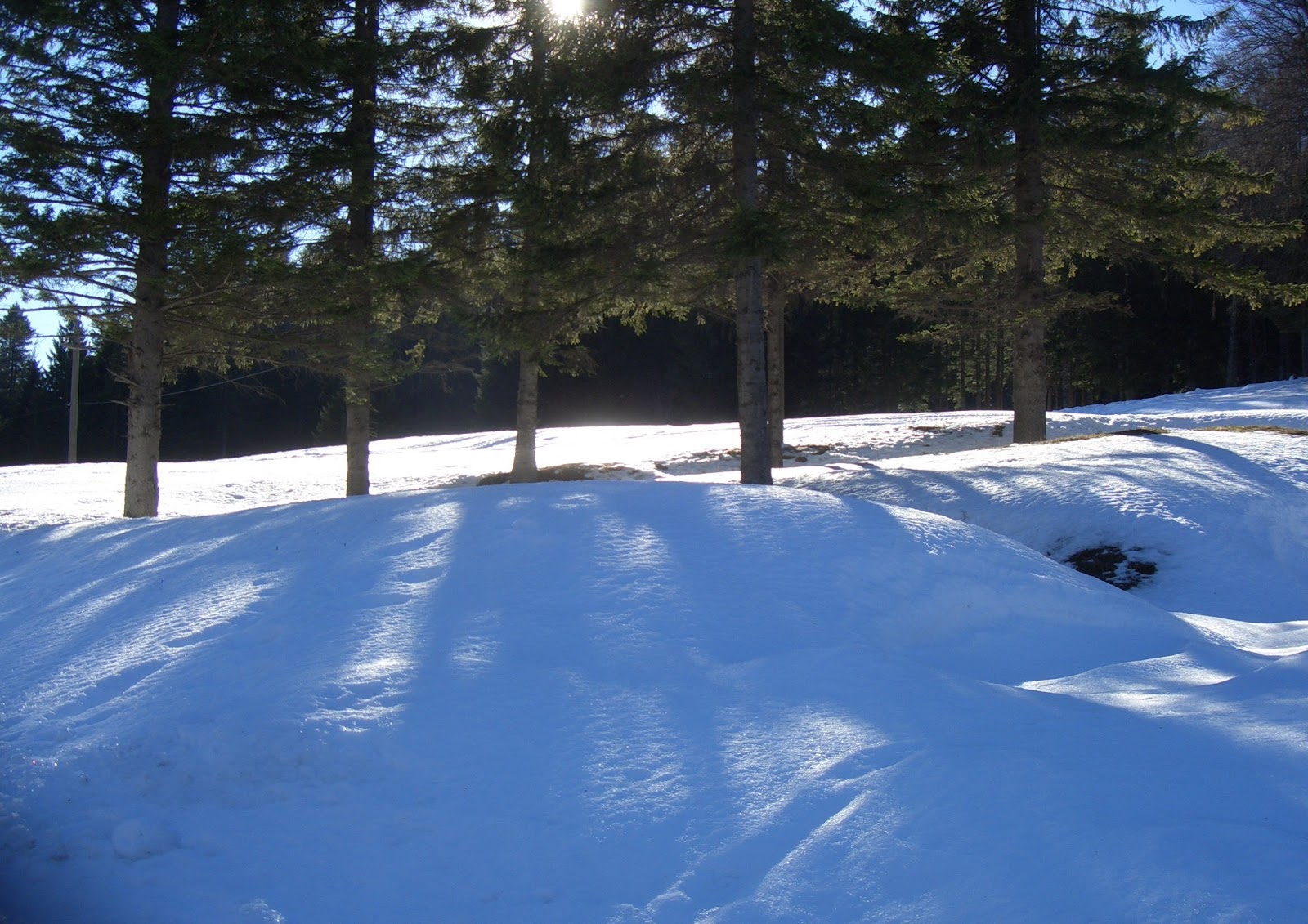 view sam houston courageous texas