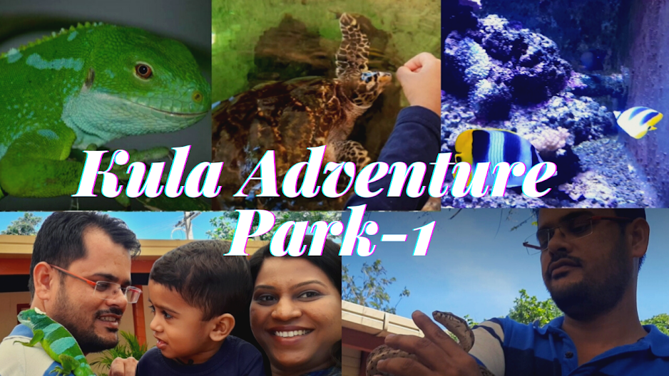 Wild adventure Kula park of Fiji
